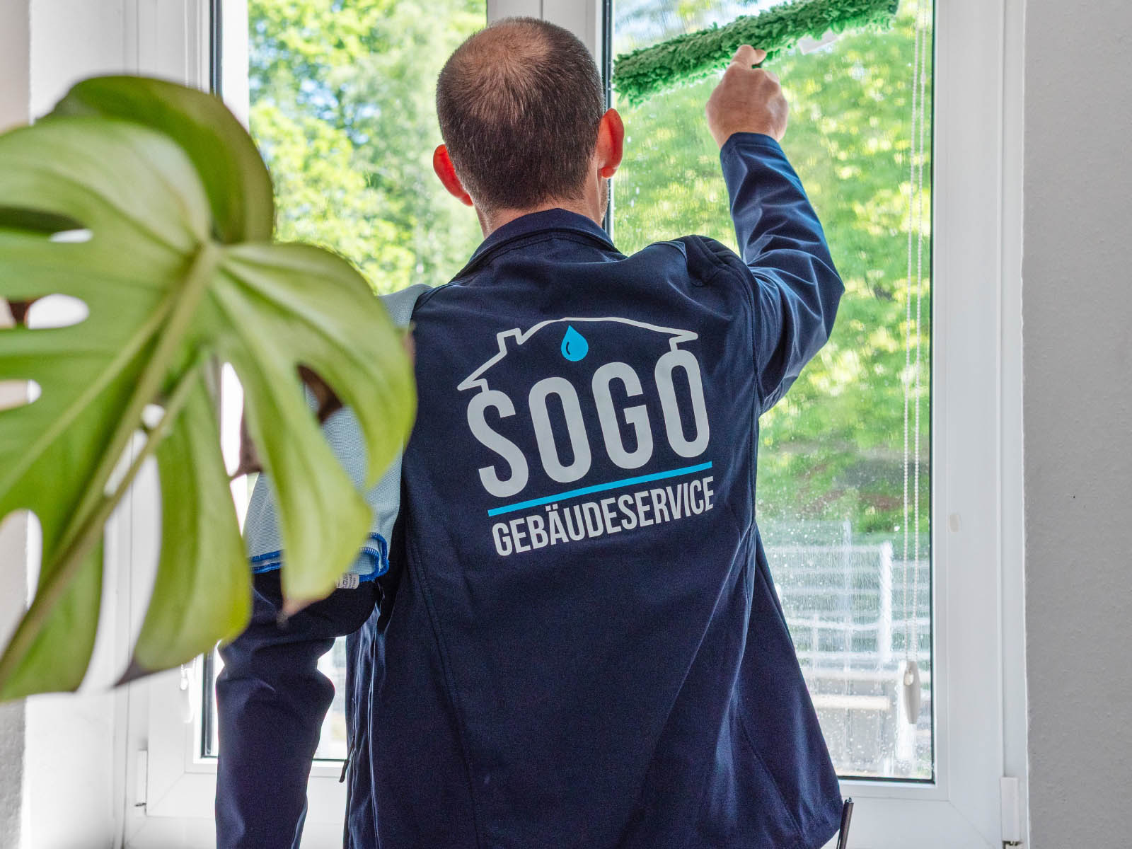 PV-Anlagen-Reinigung